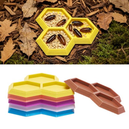 Dubia Roach Large Feeder Bowl, 6 PCS Isopod Food Dish, 3 in 1 Colorful Feeding Water Dish for Live Roach, Isopod, Springtails & Dwarf Invertebrates - color: 6 PCS Dubia Feeding Dish