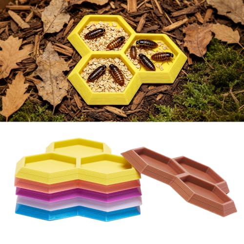Dubia Roach Large Feeder Bowl, 6 PCS Isopod Food Dish, 3 in 1 Colorful Feeding Water Dish for Live Roach, Isopod, Springtails & Dwarf Invertebrates - color: 6 PCS Dubia Feeding Dish