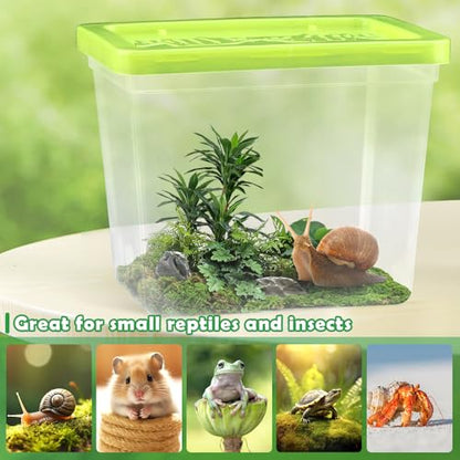 48 Pack Small Plastic Reptile Carrier Tarantula Enclosure Breeding Box Hatching Container for Spider Snail Turtle Hermit Crab Insect (3.9 x 2.9 x 3.1 Inch)