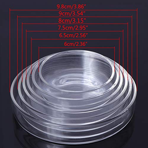 Shrimp Feeder Glass Feeding Dish Aquarium Fish for Tank Reptiles Round Clear Food Bowl 3.9" 3.5" 3.2" 3.0" 2.6" 2.4" Tra Aquarium Heater Light Thermometers Gravel Sand Decorations