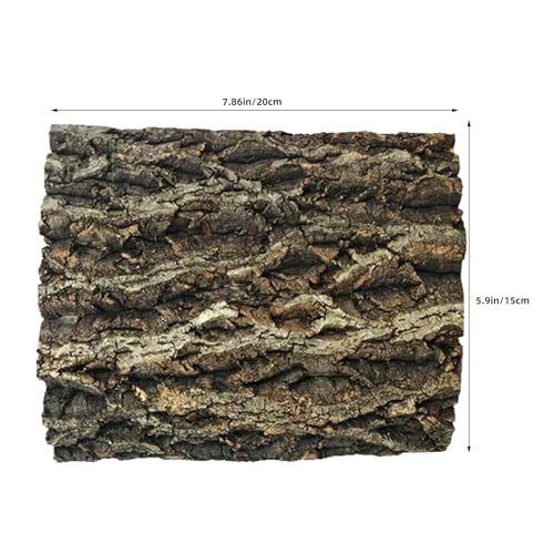 LALAFINA 2pcs Reptile Cork Bark Background - Natural Cork Wood Terrarium Background - Bearded Dragon Tank Bark Backdrop Wall Decor for Lizard Gecko Chameleon