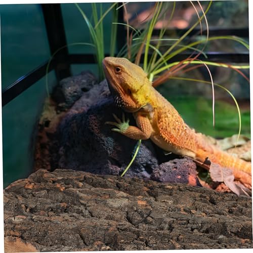 Abaodam 2 Pcs Natural Cork Bark Reptile Decor for Fish Tank Landscaping Climbing Background for Bearded Dragon Gecko and Aquarium Terrarium Safe and Sturdy Micro Landscape Branches