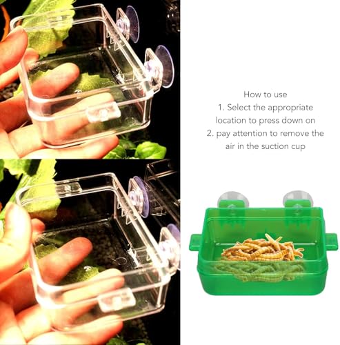 Zerodis Green Suction Cup Reptile Feeder, Gecko Lizard Escape Proof Food Water Bowl (S)