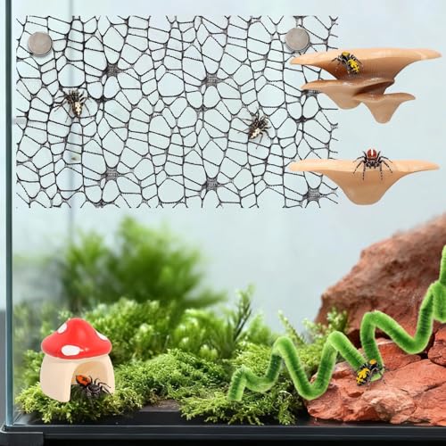 8 Pcs Jumping Spider Hide Enclosure Habitat, Spiders Hideout Climbing Rope Bridge Swings & Web, Mushroom Shelf, Jump Platform with Magnets for Pet Spider Habitat Accessories