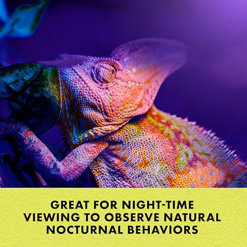 Zilla Incandescent Spot Bulb, for Nocturnal Reptile Species, Night Black - size: Pack of 1, style: Night Black (75W)