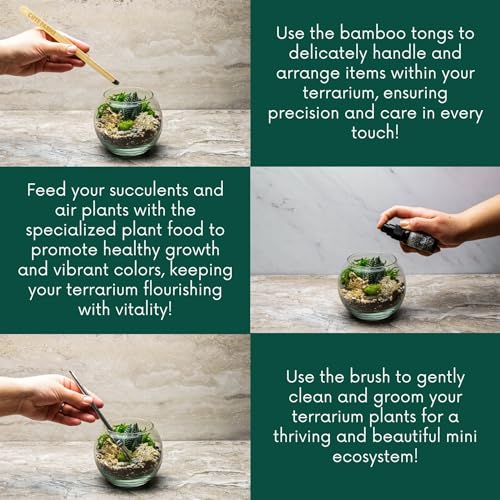 Cute Farms Terrarium Starter Kit | Moss, Vermiculite, Soil, Pebbles, Plant Food, Finishing Tools, Build and Care Guide | DIY Succulent Terrarium for Adults and Kids (Medium) - size: Medium Kit
