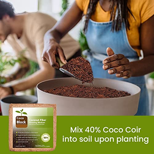 Home and Country Coconut Fiber Compressed Coco Coir Brick. Coco Coir is Great to use as a Compost Starter for Your Home Garden. Coco Coir Bricks Provide Organic Alternative to Peat Moss for Plants.10 - size: 10 Pound