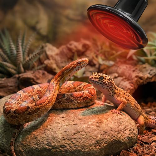 2Pcs 100W Reptile Heat Lamp Ceramic Emitter, Ceramic Heat Lamp for Cats, Chickens, Parrots, Reptiles and Small Animals (Black Mini 110V 100W) - color: Black Mini 110v 100w
