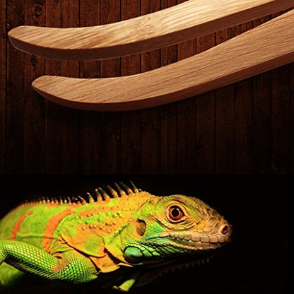 Angled Reptile Terrarium Feeding Tongs Tweezers Eco-Friendly Bamboo Feeding Tool