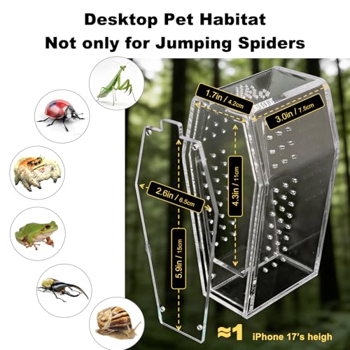 Jumping Spider Enclosure Jumping Spider Enclosure Kit Desktop Habitat Small Reptile Glass Terrarium Insect Accessory Set with Water Container Hiding Area(Black) - color: Black