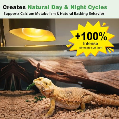 160W Reptile Heat Lamp Bulbs, Full Spectrum UVA/UVB Reptile Light Bulb and Basking Spot Light, UVB Light for Reptiles and Bearded Dragon, Turtle, Lizard, Snake, Amphibians - style: 160W UVB Bulb
