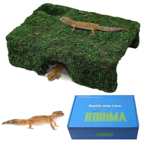 M Size Green Moss Reptile Cave, Safe Hide for Snakes & Geckos | Natural green moss finish, Smooth rounded entry edge, Handcrafted durability - color: M Green