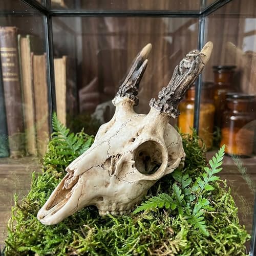 Mini Reptile Hide Cave, Small Terrarium Shelter for Spider, Tarantula, Gecko Tank Accessories, Natural Climbing Decor for Terrarium Habitat, 4 Inch(Elk Skull)