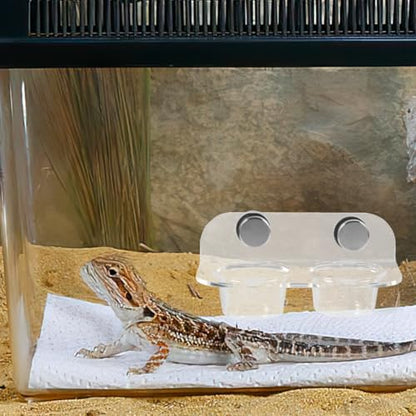 POPETPOP Gecko Feeding Ledge: Reptile Food Bowl, Lizard Water Bowl, Magnetic, Portable, Modern Style, Transparent, Plastic, 12.00X6.50X5.50CM