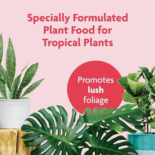 Miracle-GRO Tropical Houseplant Food - Liquid Fertilizer for Tropical Houseplants, 8 fl. oz. - size: 1 Pack, style: Plant Food