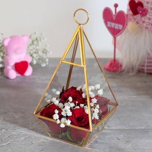 D'Eco Glass Gold Pyramid Centerpiece (5x5x10) - Hanging Planter Terrarium - Spring Home & Wedding Decor - Fill with Succulents, Cacti, Air Plants, Moss, Flowers for Plant Lovers