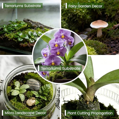 Dried Forest Moss for Plant Care, Sphagnum Potting Moss Suitable for Orchids, Carnivorous Plants, Succulents, Garden Blooms & Reptile Habitats (7 OZ) - style: 7 OZ