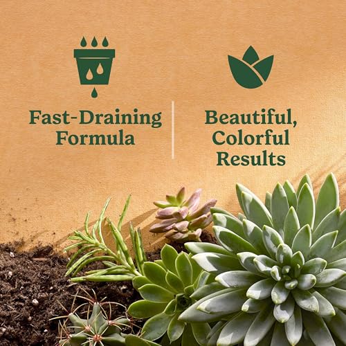 Miracle-Gro Indoor Potting Mix for Cactus and Succulent, Fast-Draining Cactus and Succulent Potting Mix with Plant Food, 8 qt. (2-Pack)