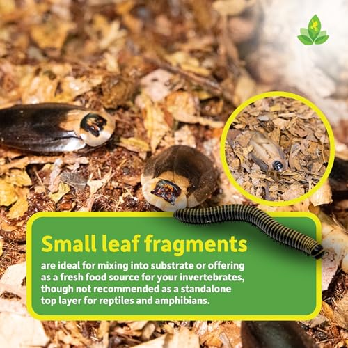 Josh's Frogs Compressed Natural Tropical Leaf Litter Brick, 500g, All-Natural Leaf Fragments for Isopods, Millipedes, Crabs, Detritivores