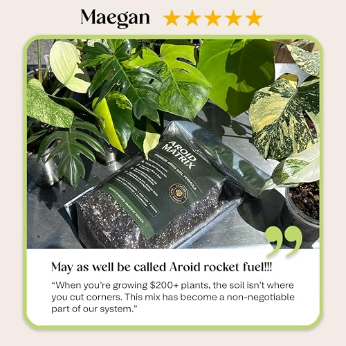 Premium AROID Soil Blend for Monstera, Philodendron, Alocasia, Anthurium – Chunky, Optimally Aerated Soil – Organic & Ready to Use – Supercharges Root and Foliage Growth - (2QTS) - size: 2 QTS