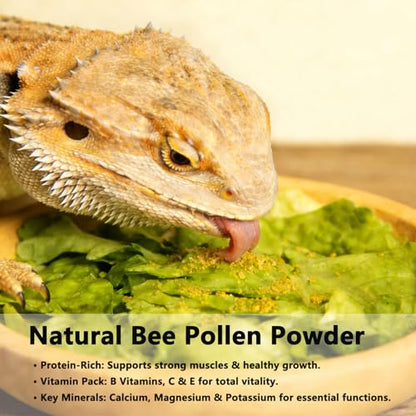 Accretion Bee Pollen for Bearded Dragons, 8oz (Granules), Natural Reptile Supplement for Lizards, Geckos, Turtles, Digestive and Immune Health Support, Easy to Feed - size: Granules