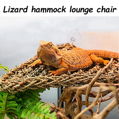 2 Pcs Chameleon Bowl (2.1" D*2.3" H) &3 Pack Bearded Dragon Hammock (11" L*8" W)