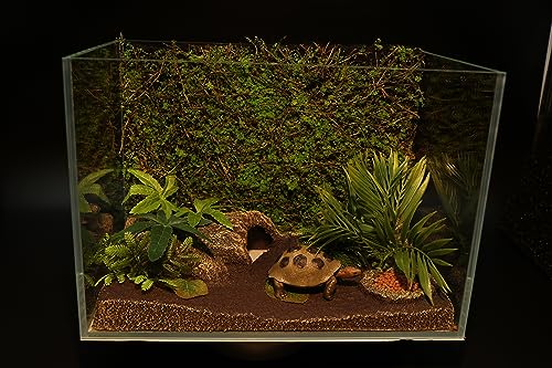 AQUA KT Terrarium Moss Background Backdrop Wall Artificial Reptile Amphibian Cage Decoration for Lizard Bearded Dragon Snake Frog Chameleon Climbing, Pack of 2