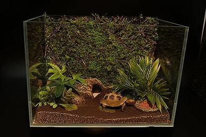 AQUA KT Terrarium Moss Background Backdrop Wall Artificial Reptile Amphibian Cage Decoration for Lizard Bearded Dragon Snake Frog Chameleon Climbing, Pack of 2