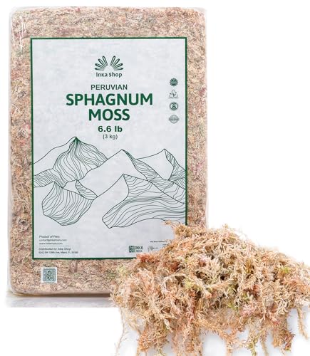Long Fiber Sphagnum Moss for Indoor Plants Peruvian Orchid Moss Ultra Clean Odor Free Fast Expanding Moisture Retention Airy Drainage for Aroids Carnivorous Plants Terrarium Reptile Bedding (6.6lb) - size: 6.6lb