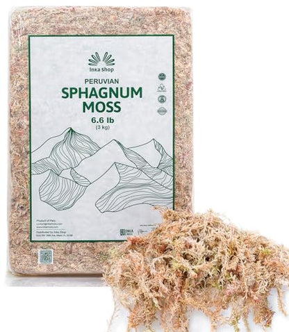 Long Fiber Sphagnum Moss for Indoor Plants Peruvian Orchid Moss Ultra Clean Odor Free Fast Expanding Moisture Retention Airy Drainage for Aroids Carnivorous Plants Terrarium Reptile Bedding (6.6lb) - size: 6.6lb