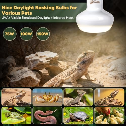 Reptile Heat Lamp, 2 Pack 150W Simulated Natural Sunlight Heat Lamp Bulbs Reptile Warm Light Lamp UVA Daylight Basking Light for Bearded Dragon Chameleon Turtle Snake Leopard Gecko Chicken, White - color: White, size: Day(150)