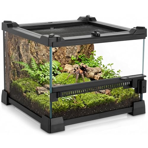 8"x8"x6" Reptile Terrarium, Single-Door Glass Terrestrial Vivarium for Small Arthropod Pets Such as Trinidad Dwarf Tiger Tarantulas, with Lock & Waterproof Deep Base Below Front Door