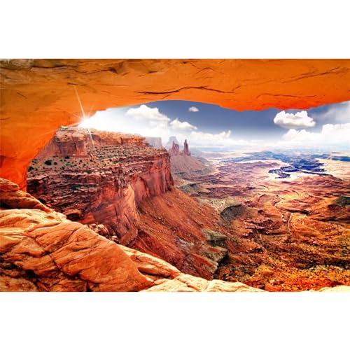 AWERT Stone Reptile Habitat Background Sky Oasis Mountain Cactus Sun and Desert Terrarium Background 30x12 inches Polyester Background - size: 30x12in/75x30cm
