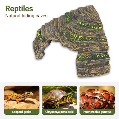 Reptile Hideout Cave with Textured Top for Natural Shedding Aid | Non-toxic resin habitat decor, fits terrariums to reduce pet stress. Sized 6.3x6.3x4.06 in for geckos & spiders.