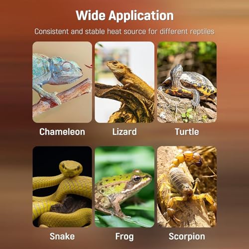 Reptile Heating Pad - PVC 20x45cm | Terrarium Under Tank Heater | for Hermit Crab Snake, Turtle Lizard, Frog Spider, and Other Reptiles Safe Environment All Cold-Blooded Companions. - color: Aqua