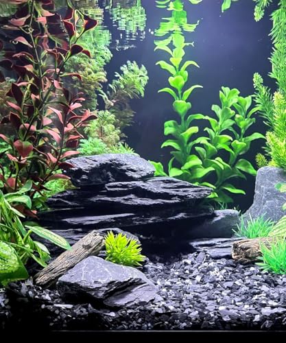 Natural Slate Stone for Aquariums, Fish Tanks, Terrariums, Aquascaping and Amphibian Enclosures, Mix of Large and Medium Size Rocks - by SubstateSource (5 Pounds, Black River)
