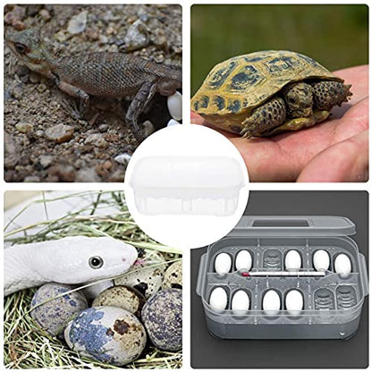 Reptile Egg Incubator Professional Hatcher Hatching Box Case Tray Plastic Breeding Incubator for Hatching Snake,Lizards, Reptiles,Gecko(12 Slots Without Thermometer)