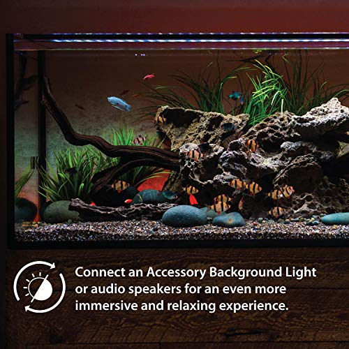 CURRENT USA 48-60" Inch Satellite Freshwater LED Plus Full Spectrum RGB+W Light for Aquariums | Wireless 24 Hour Remote Control Fish Tank Lighting (4508) - size: 48-60 inch