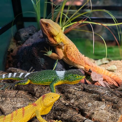 Didiseaon Cork Bark Reptile Tank Background 4 Pcs Cork Bark Pieces for Terrarium Aquarium Decorations Gecko Lizard Frog Bearded Dragon Enclosure Decor