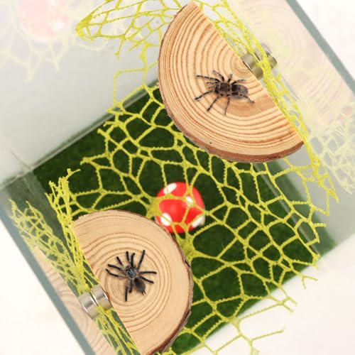 Jumping Spider Accessories Kit – 5 Pcs Set with Mushroom Platforms, and 1 Spider Webs for Climbing, Feeding, and Decorating