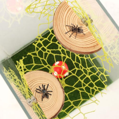Jumping Spider Accessories Kit – 5 Pcs Set with Mushroom Platforms, and 1 Spider Webs for Climbing, Feeding, and Decorating