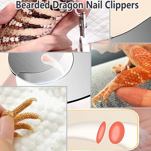 6-Piece Bearded Dragon Tank Cleaning Set, Reptile Enclosure Cleaning Tool Set with Bearded Dragon Nail Clippers&Cleaning Cloth, Brush, Scraper & Mini Dustpan for Lizard & Gecko Terrarium Maintenance