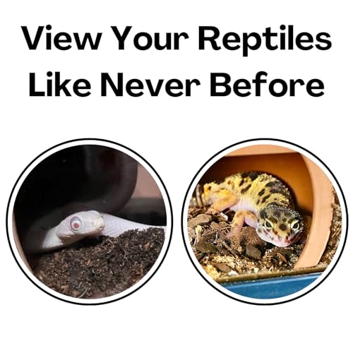Reptile Underground Cave Viewing Hide | Hognose Snake Leopard Gecko Hide Habitat Tank Enrichment | Reptile Decoration Accessories Supplies Toys Ornaments
