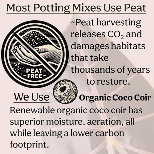 Craft Organic Houseplant Potting Mix, Elite House Plant Soil, Chunky, Well Draining Potting Soil for All Indoor Plants, Tropical Plants & Flowers, Sustainable & Peat Free, Less Prone to Gnats, 8QT - size: 8 quarts