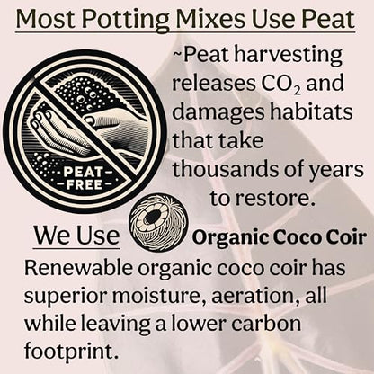 Craft Organic Houseplant Potting Mix, Elite House Plant Soil, Chunky, Well Draining Potting Soil for All Indoor Plants, Tropical Plants & Flowers, Sustainable & Peat Free, Less Prone to Gnats, 8QT - size: 8 quarts