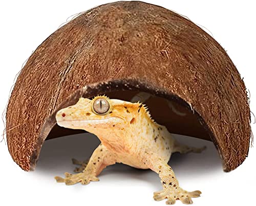SunGrow Crested Gecko Coconut Huts, 5x3 Inches Reptile Climbing Hide, Leopard Gecko Tank Cage Habitat Accessories, Smooth-Edged Coconut Shell for Exercise, Crawling, Perching and Basking Spot