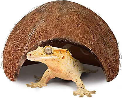 SunGrow Crested Gecko Coconut Huts, 5x3 Inches Reptile Climbing Hide, Leopard Gecko Tank Cage Habitat Accessories, Smooth-Edged Coconut Shell for Exercise, Crawling, Perching and Basking Spot