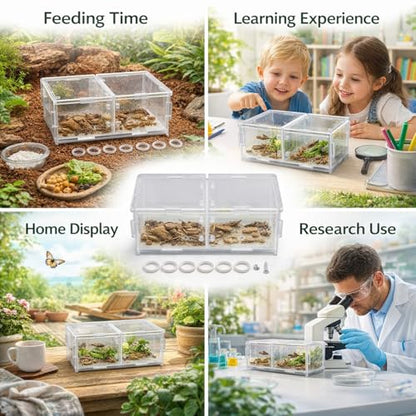 Acrylic Reptile Breeding Box, Feeding and Landscaping Container, 19 x 11 x 7.2cm - Durable Transparent Design, Movable Partition, Easy Viewing and Cleaning