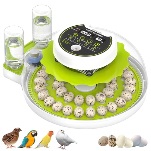Quail Egg Incubator for Hatching 40 Quail Eggs with Automatic Turner and Humidity Control, Small Brooder, Outdoor Poultry Egg Incubator, Suitable for Parrot Canary and Other Bird - color: Green