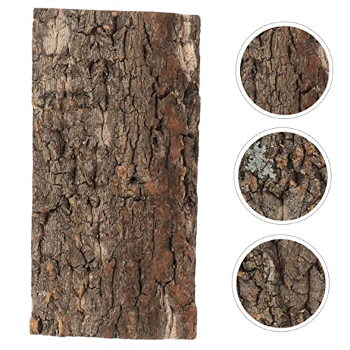 Happyyami Pet Fish Tank Landscaping Reptile Bark Fish Tank Decorations Reptile Background for Terrarium Decorative Background for Aquarium Terrarium Accessories Aquarium Decorative Board